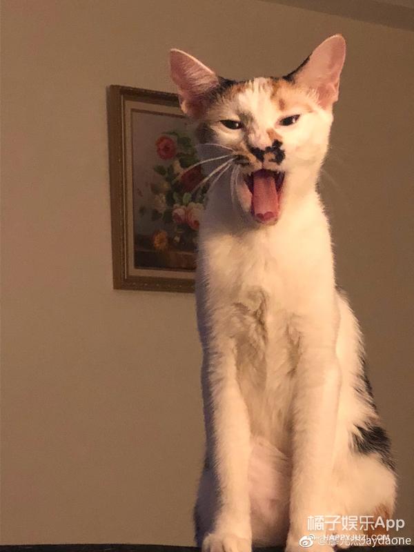 黑糖玛奇朵王子现在的样子(还记得黑糖玛奇朵里的小杰吗)(22)