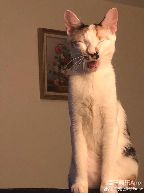 黑糖玛奇朵王子现在的样子(还记得黑糖玛奇朵里的小杰吗)(23)