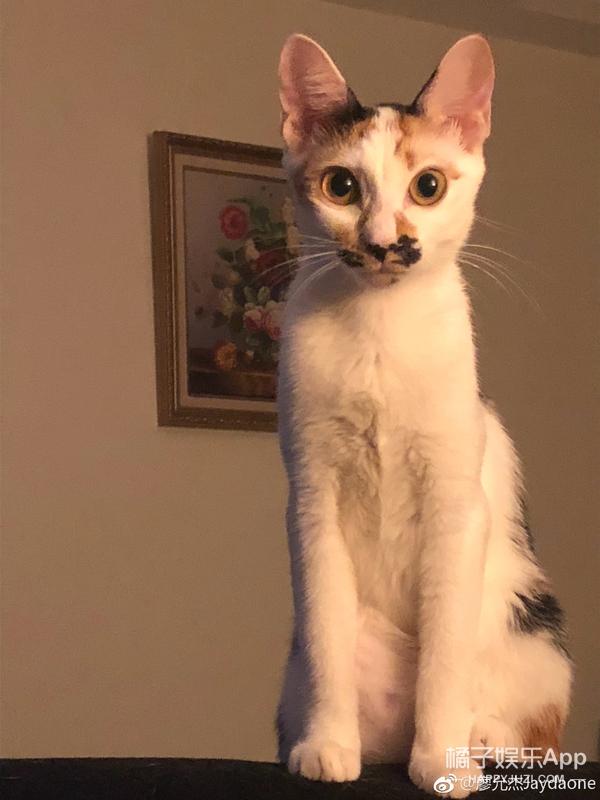 黑糖玛奇朵王子现在的样子(还记得黑糖玛奇朵里的小杰吗)(21)