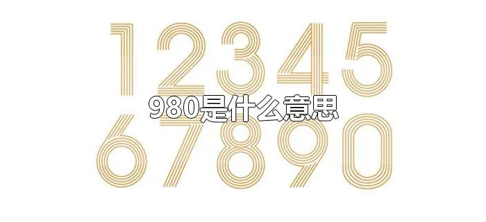 980是什么意思