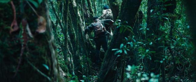 云南虫谷潘粤明宣传现场(云南虫谷收视率破9亿)(18)