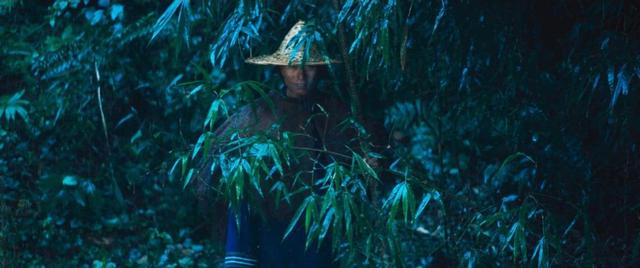 云南虫谷潘粤明宣传现场(云南虫谷收视率破9亿)(6)