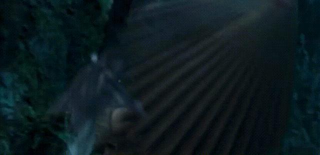 云南虫谷潘粤明宣传现场(云南虫谷收视率破9亿)(9)