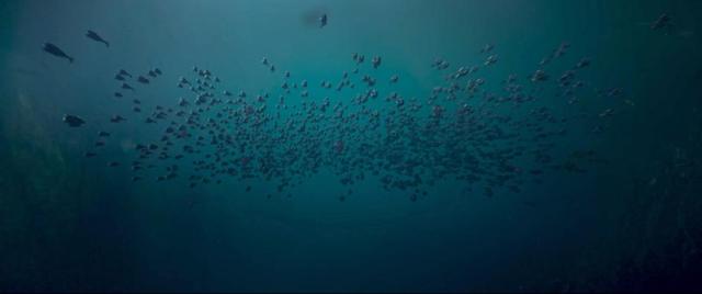 云南虫谷潘粤明宣传现场(云南虫谷收视率破9亿)(10)