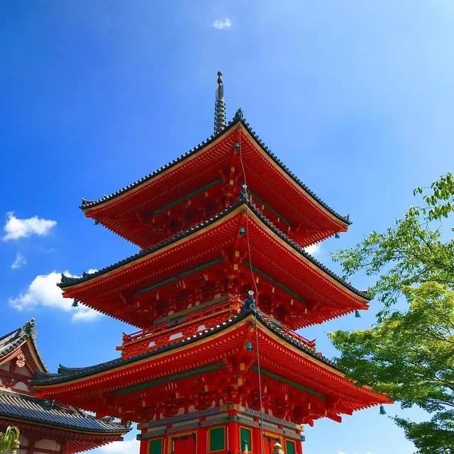 日本值得去的10个景点(日本八大人气景点)(3)