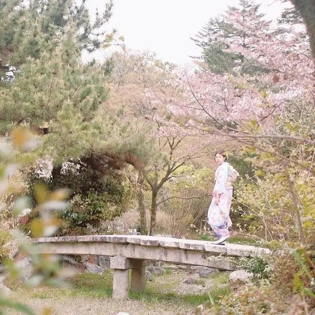 日本值得去的10个景点(日本八大人气景点)(25)