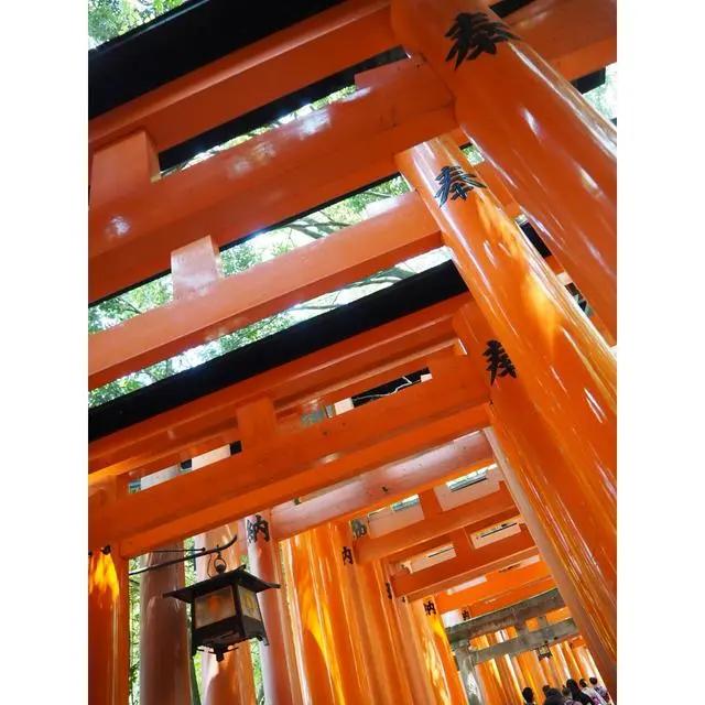 日本值得去的10个景点(日本八大人气景点)(15)