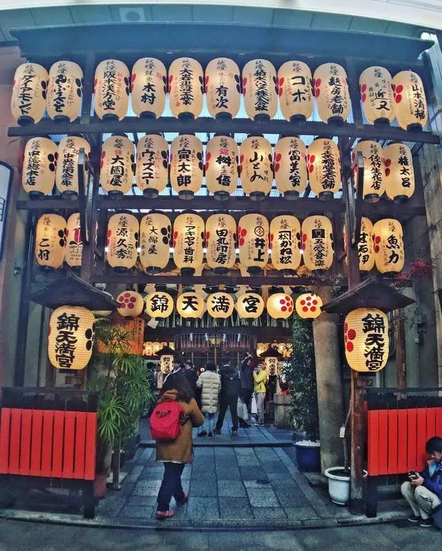 日本值得去的10个景点(日本八大人气景点)(21)