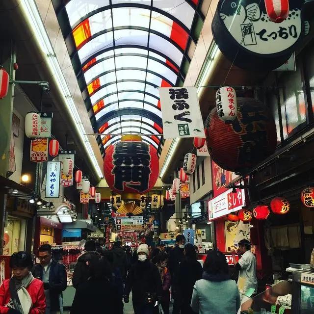 日本值得去的10个景点(日本八大人气景点)(5)