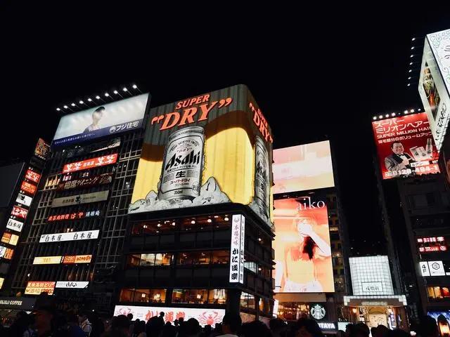 日本值得去的10个景点(日本八大人气景点)(11)