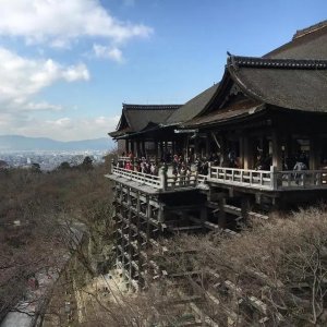 ​日本值得去的10个景点（日本八大人气景点）