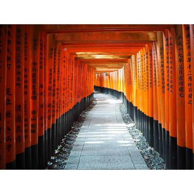 日本值得去的10个景点(日本八大人气景点)(16)