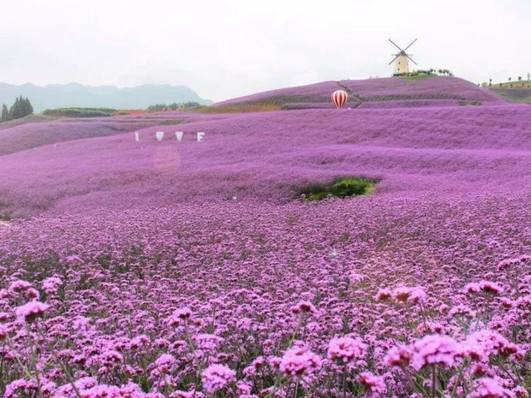 黔南州旅游景点有哪些(黔南有什么好玩的景点)