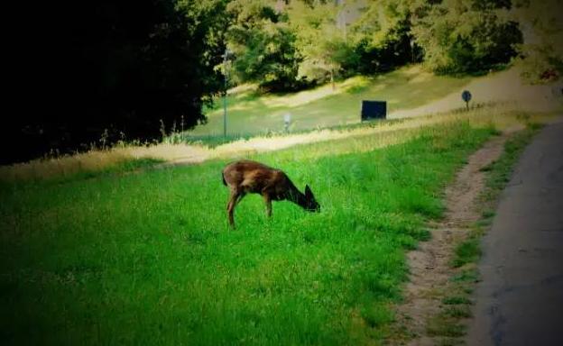 美国ucc大学洛杉矶(在加州大学圣克鲁兹分校)(2)