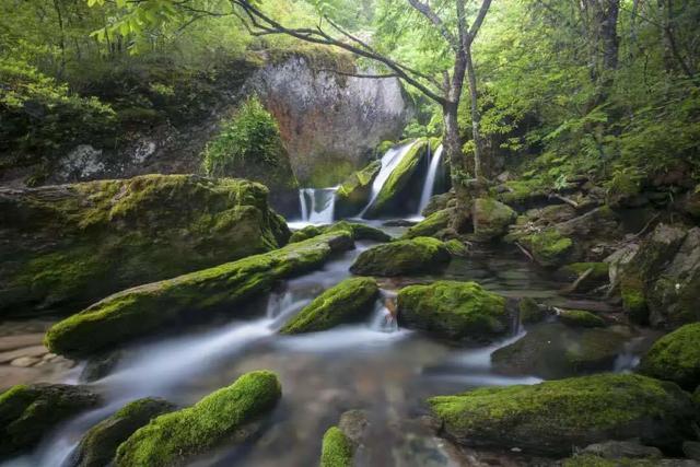 神农架旅游十大必去景点(全国游客免门票)(14)
