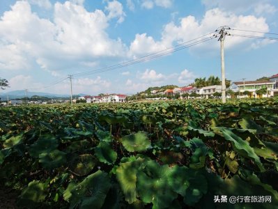 ​湖南浏阳乡村旅游必去的五个地方