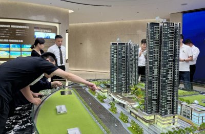 ​深圳楼市新政满月：顶豪3小时卖了100亿，二手房止跌砍价变难了