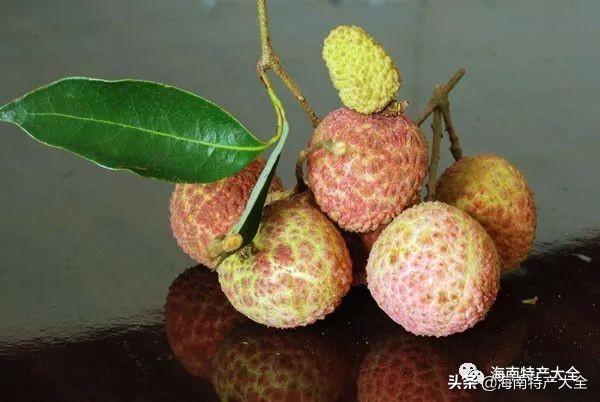 海南特色的水果(海南十大地理标志水果介绍)(9)