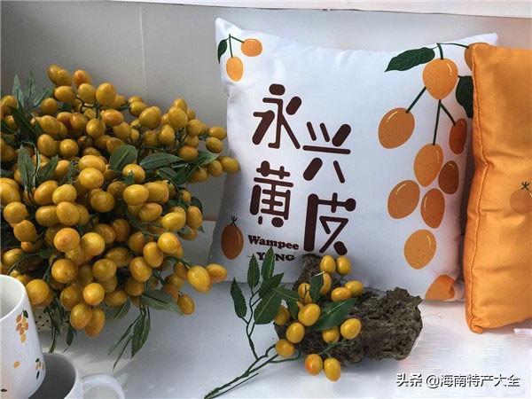 海南特色的水果(海南十大地理标志水果介绍)(2)