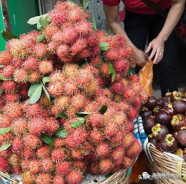 海南特色的水果(海南十大地理标志水果介绍)(10)