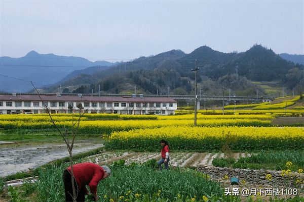 新田县属于哪个市(湖南新田县属于哪个市)
