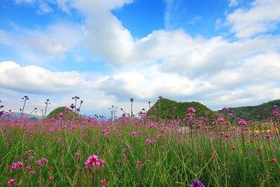 贵阳旅游必去的景点(这15个景点不容错过)(10)