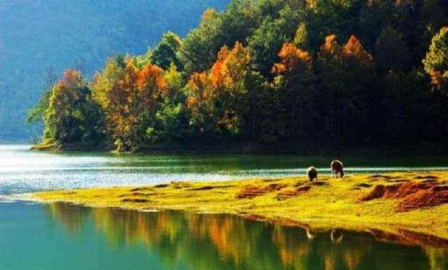 贵阳旅游必去的景点(这15个景点不容错过)(7)