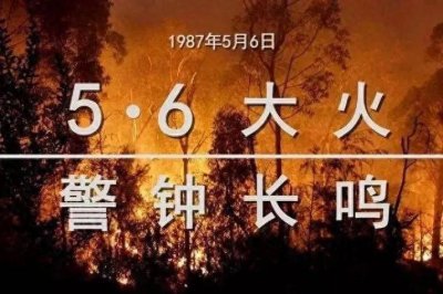 ​1987大兴安岭特大火灾：38年前的血色记忆，揭开灾难背后惊人真相