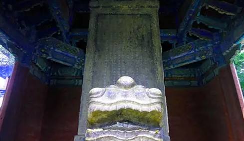 雄县在哪个省哪个市(雄县属于哪个市)