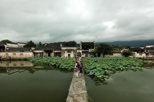 1、黄山西递森林公园