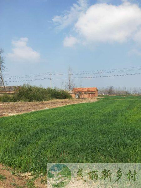 二、蚌埠市怀远县石沟乡王岗大寨