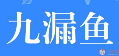 ​九漏鱼指的是什么(九漏鱼指的是什么意思)