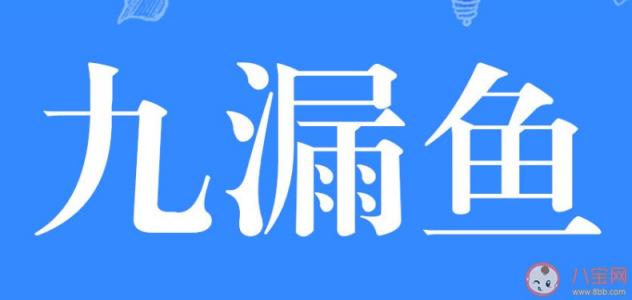 九漏鱼指的是什么(九漏鱼指的是什么意思)