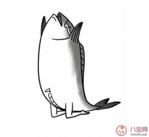 九漏鱼指的是什么(九漏鱼指的是什么意思)