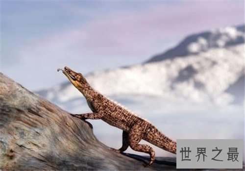 狗鳄拥有快速奔跑能力 能一口咬死剑齿虎