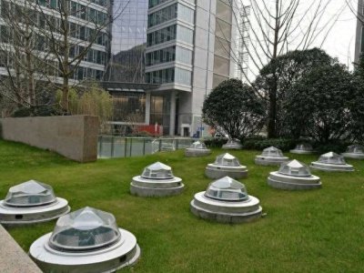 ​现在比较流行的新能源项目都有哪些？