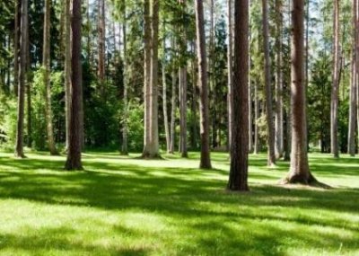 ​新乡有什么免费旅游景点