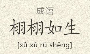 栩栩如生的意思是什么