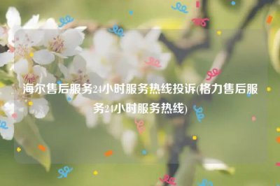 ​海尔售后服务24小时服务热线投诉(格力售后服务24小时服务热线)