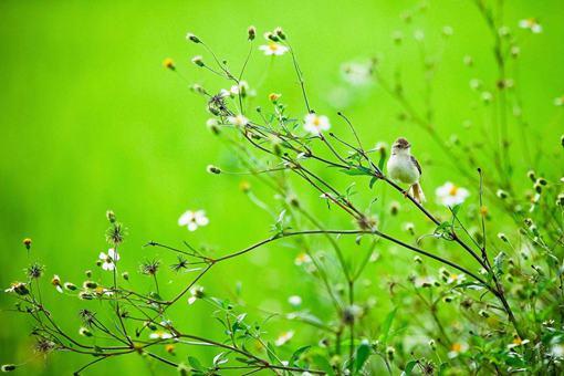 闰月是什么意思?为什么会多出来一个月?