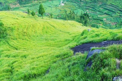 闰月是什么意思?为什么会多出来一个月?