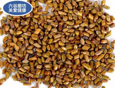 ​决明子的功效和作用及禁忌（决明子的功效与作用和副作用以及食用方法）