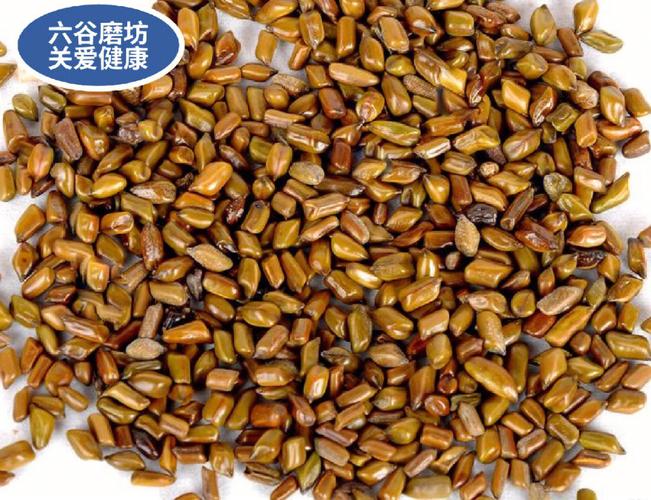 决明子的功效和作用及禁忌（决明子的功效与作用和副作用以及食用方法）