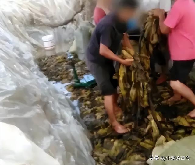 白象集团姚东良简介(白象老总多厉害)(21)