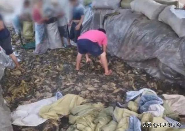 白象集团姚东良简介(白象老总多厉害)(1)