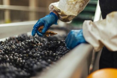 ​天然葡萄酒怎么酿造？自然葡萄酒的 ***