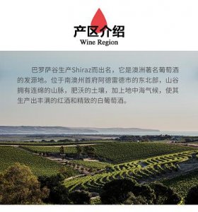 ​今世缘高沟原浆 今世缘高沟酒