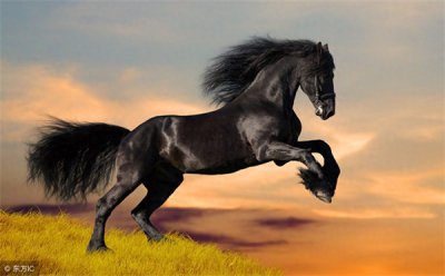 ​老板考验一个人的套路(领导如何试探员工人品)