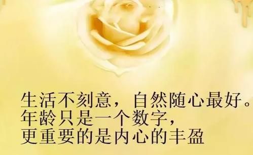 静心语录人生感悟经典句子