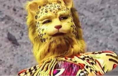 ​猎豹的美称是什么（为什么猎豹的战斗力不如狮子老虎）